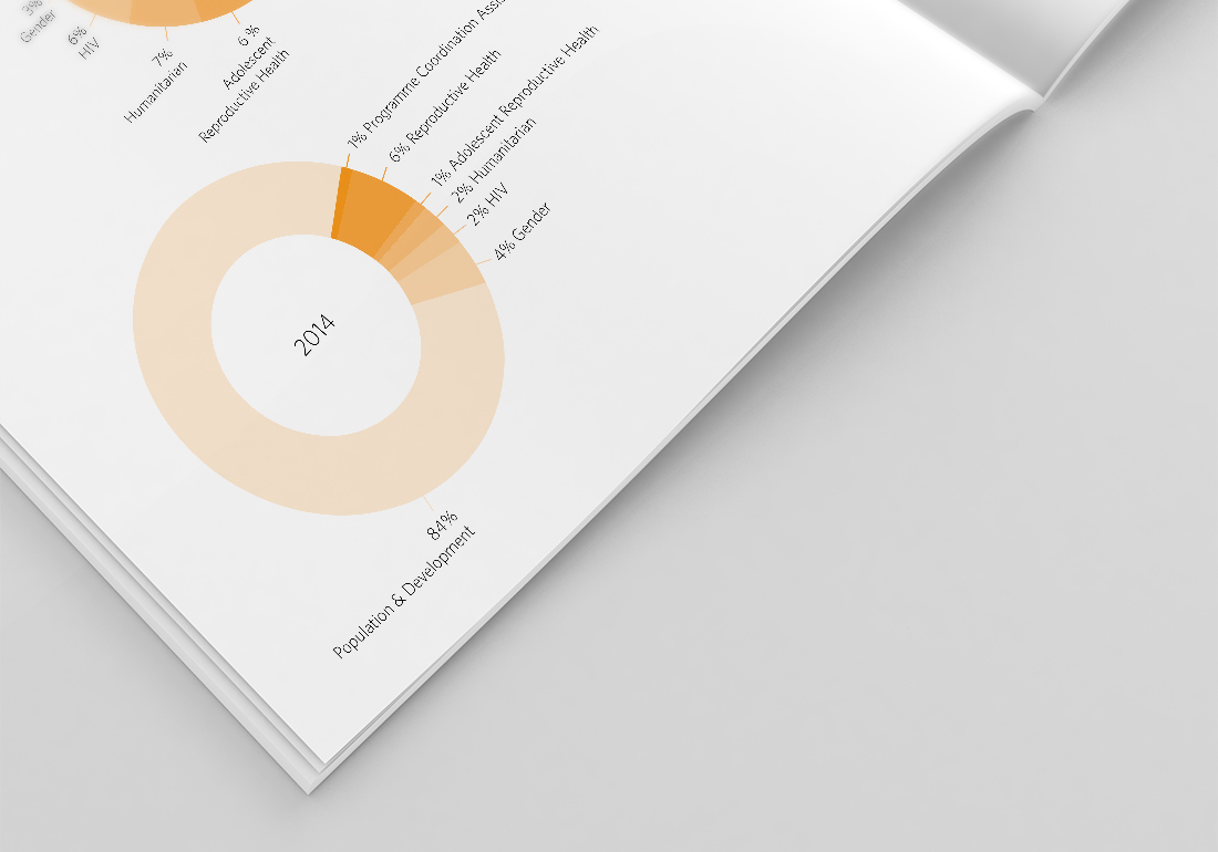 UNFPA report detail