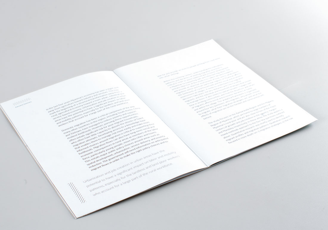 World Bank executive summary detail